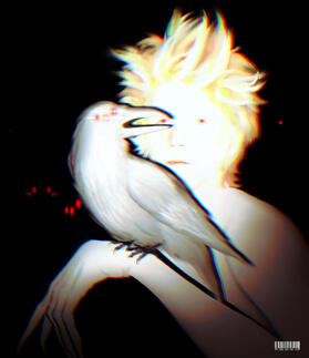 DEFECTS