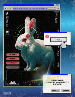 white_rabbit.io